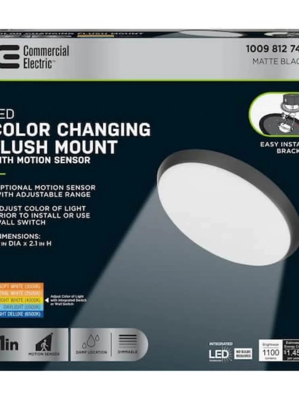 Sleek Black LED Flush Mount Ceiling Light by
